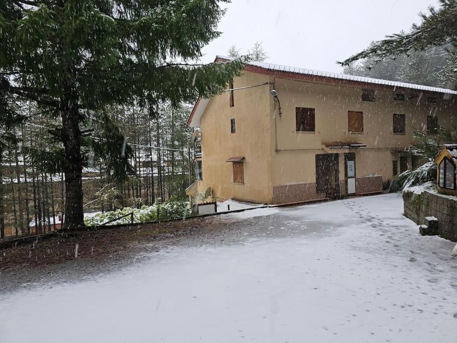 Holiday home Loricaskihome *